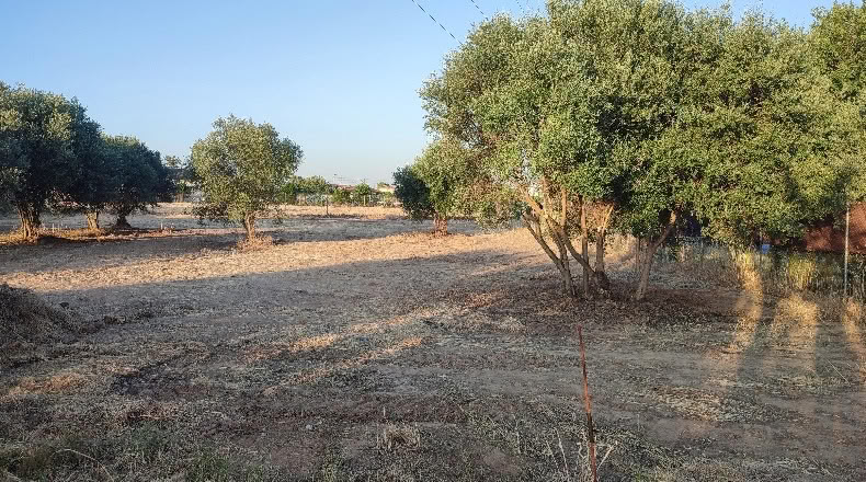Córdoba - Кордова - 908m2