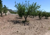 Terreno no urbanizable en venta en la España, Cehegín, ref: TR414201 foto