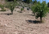 Terreno no urbanizable en venta en la España, Cehegín, ref: TR414201 foto