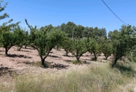 Foto 8