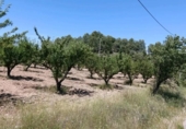 Terreno no urbanizable en venta en la España, Cehegín, ref: TR414201 foto