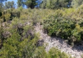 Terreno no urbanizable en venta en la España, Cehegín, ref: TR414201 foto