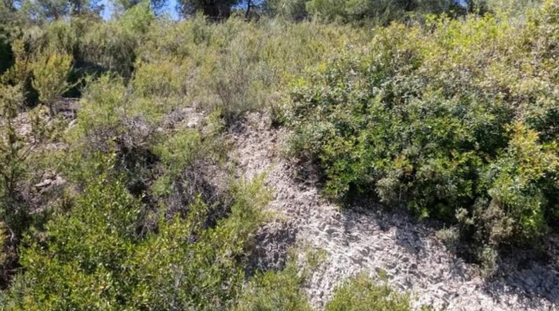 Murcia - Cehegín - 6681m2