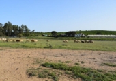 Chalet independiente con terreno en venta en la España, Villablanca, ref: TR124348 foto