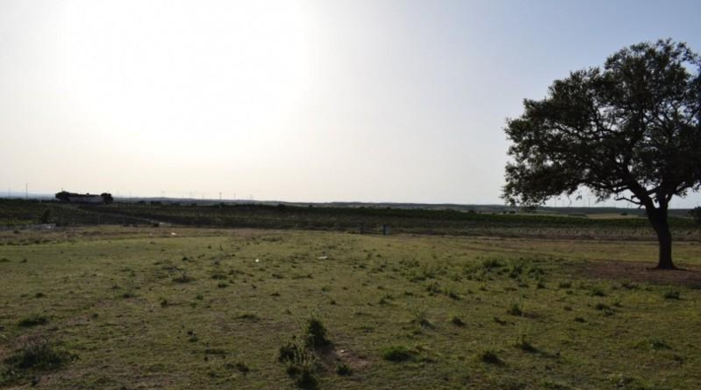 Huelva - Villablanca - 11000m2