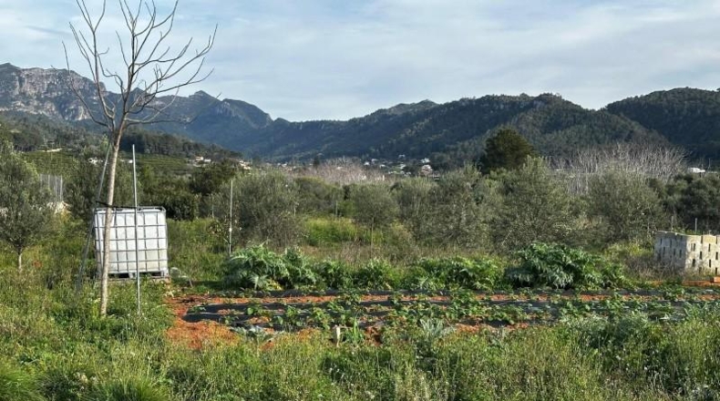 Valencia - Alzira - 2441m2