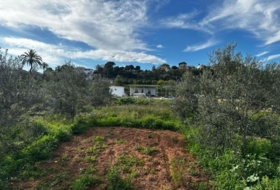 Alzira 2441&nbsp;m²