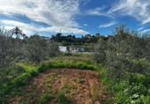 Terreno no urbanizable en venta en la España, Alzira, ref: TR414203 foto