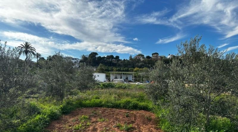 Valencia - Alzira - 2441m2