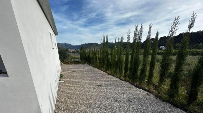 Valencia - Alzira - 2441m2
