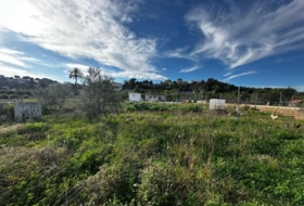 Alzira 2441&nbsp;m²