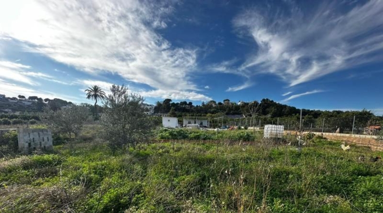Valencia - Alzira - 2441m2