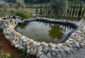 Alzira 2441&nbsp;m²