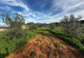 Terreno no urbanizable en venta en la España, Alzira, ref: TR414203 foto