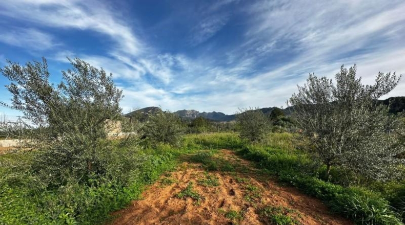 Valencia - Alzira - 2441m2
