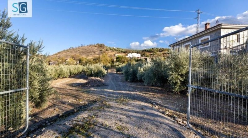 Granada - Iznalloz - 1658m2