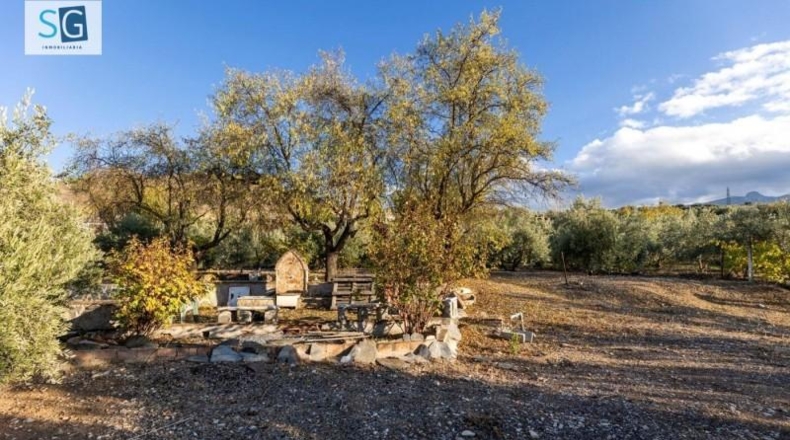 Granada - Iznalloz - 1658m2