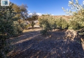 Sòl urbà en venda a la España, Iznalloz, ref.: TR238501 foto