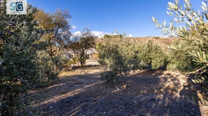 Granada - Iznalloz - 1658m2