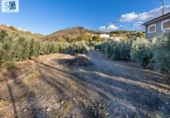 Sòl urbà en venda a la España, Iznalloz, ref.: TR238501 foto
