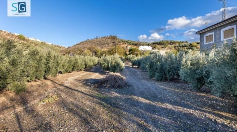 Granada - Iznalloz - 1658m2
