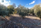 Sòl urbà en venda a la España, Iznalloz, ref.: TR238501 foto