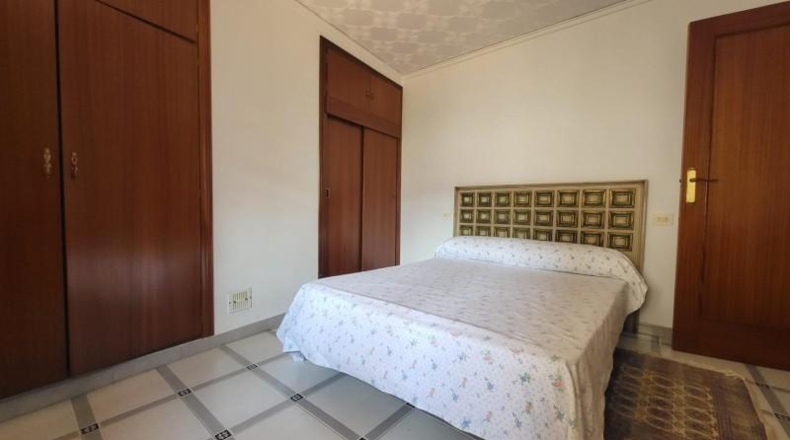 Alicante - Dolores - 293m2