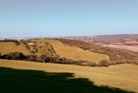 Vejer de la Frontera 29000&nbsp;m² 