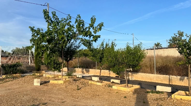 Murcia - Мурсия - 1000m2