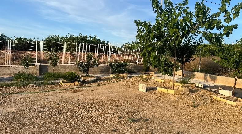 Murcia - Мурсия - 1000m2