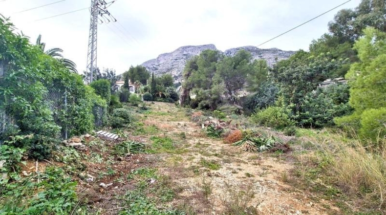 Аликанте - Dénia - 972m2
