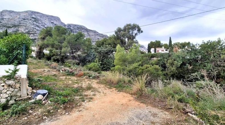 Аликанте - Dénia - 972m2