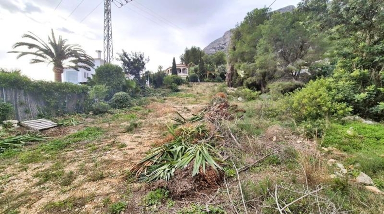 Аликанте - Dénia - 972m2