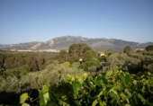 Finca rústica en venta en la España, Benimarfull, ref: TR414229 foto
