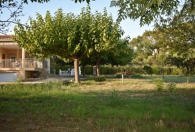 Foto 17