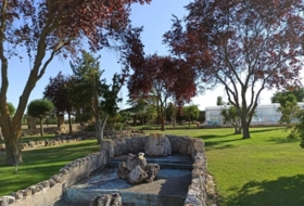 Foto 13