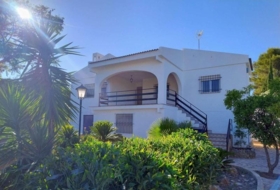 Turís 905&nbsp;m²