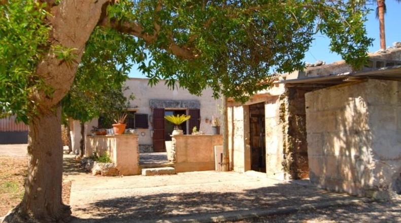 Illes Balears - Muro - 7132m2