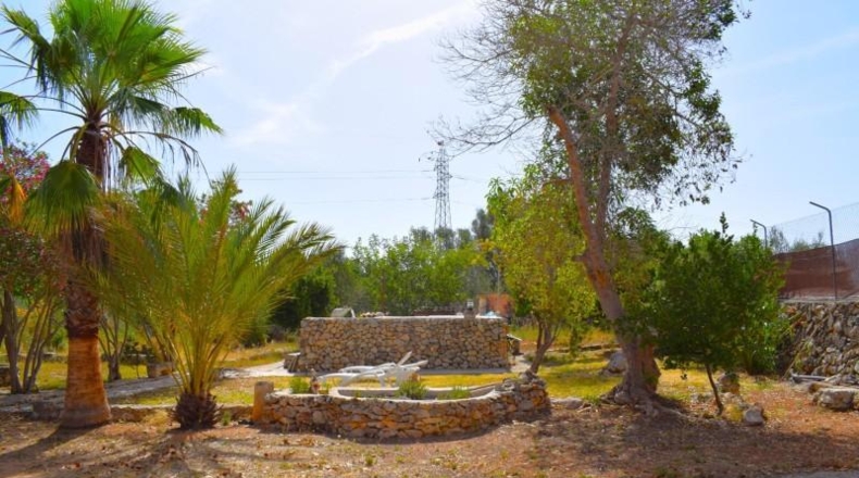 Illes Balears - Muro - 7132m2