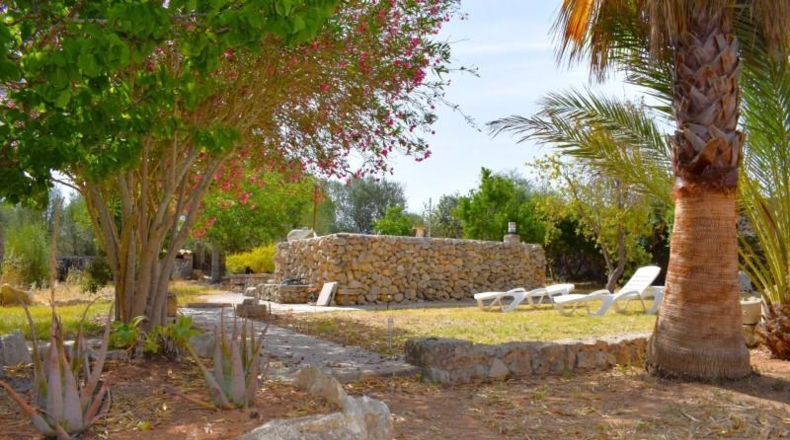 Illes Balears - Muro - 7132m2