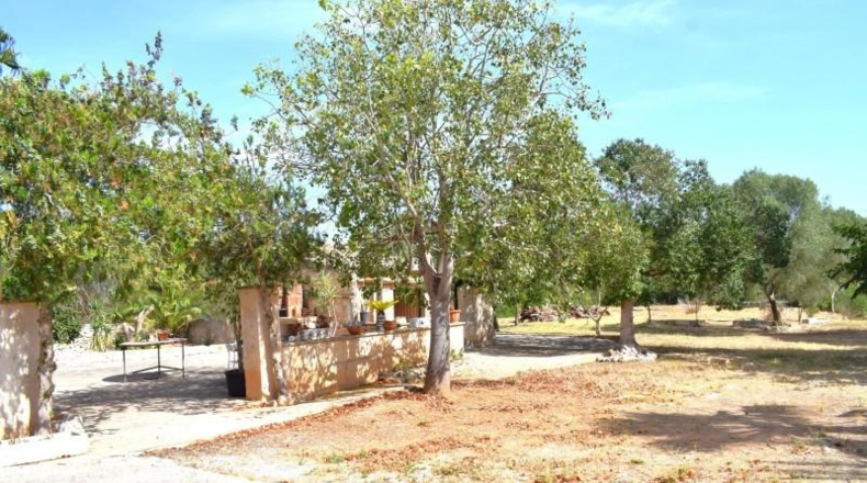 Illes Balears - Muro - 7132m2
