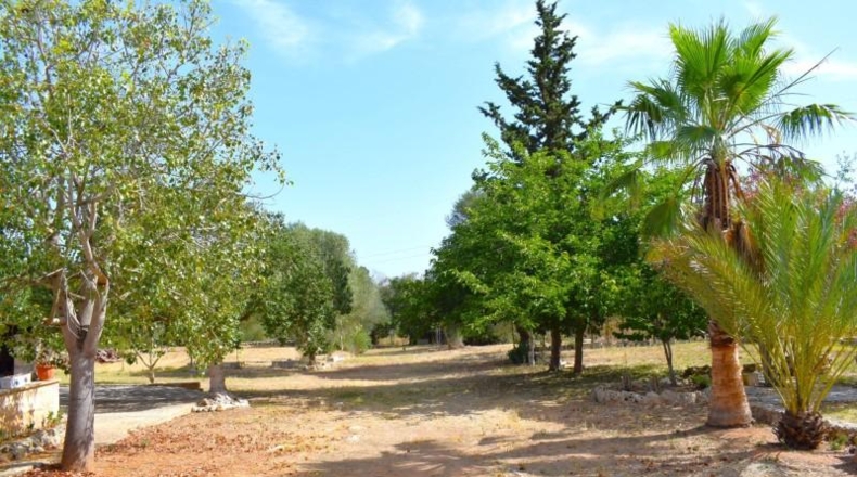 Illes Balears - Muro - 7132m2