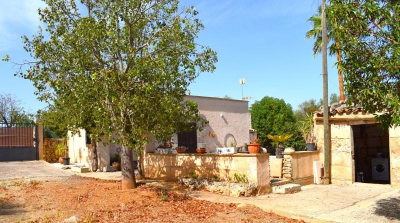 Illes Balears - Muro - 7132m2