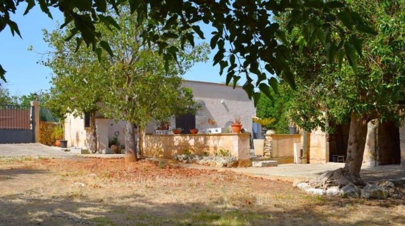 Illes Balears - Muro - 7132m2