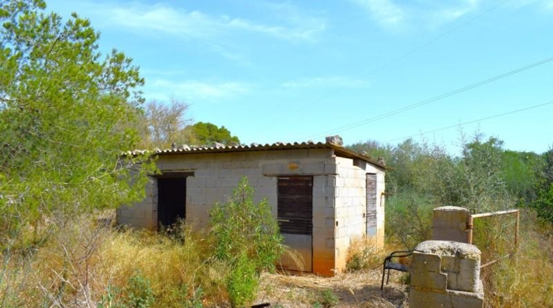 Illes Balears - Muro - 7132m2