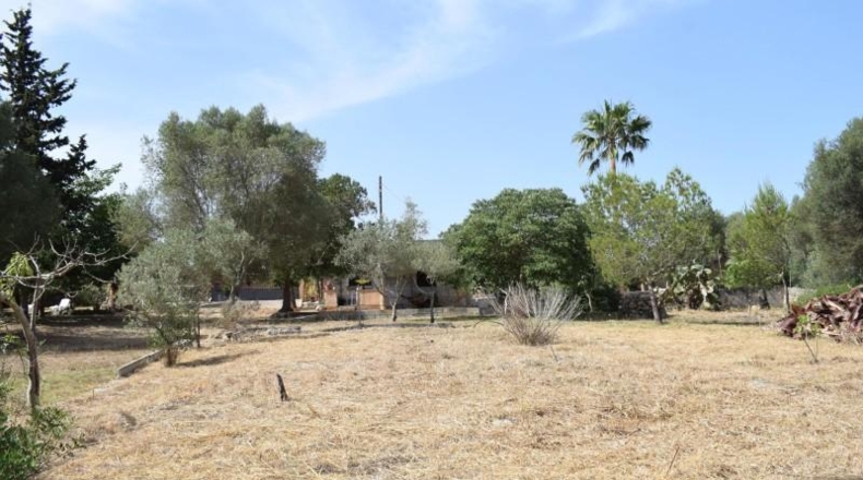 Illes Balears - Muro - 7132m2