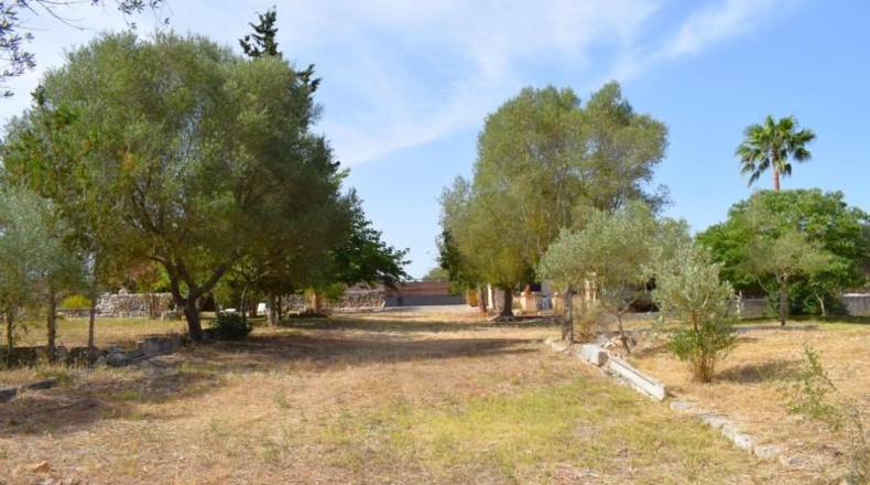 Illes Balears - Muro - 7132m2