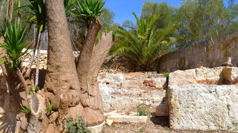 Illes Balears - Muro - 7132m2
