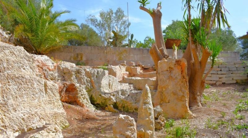 Illes Balears - Muro - 7132m2
