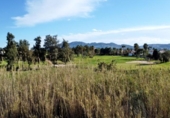 Parcela urbanizable en venta en la España, Oliva, ref: TR117706 foto